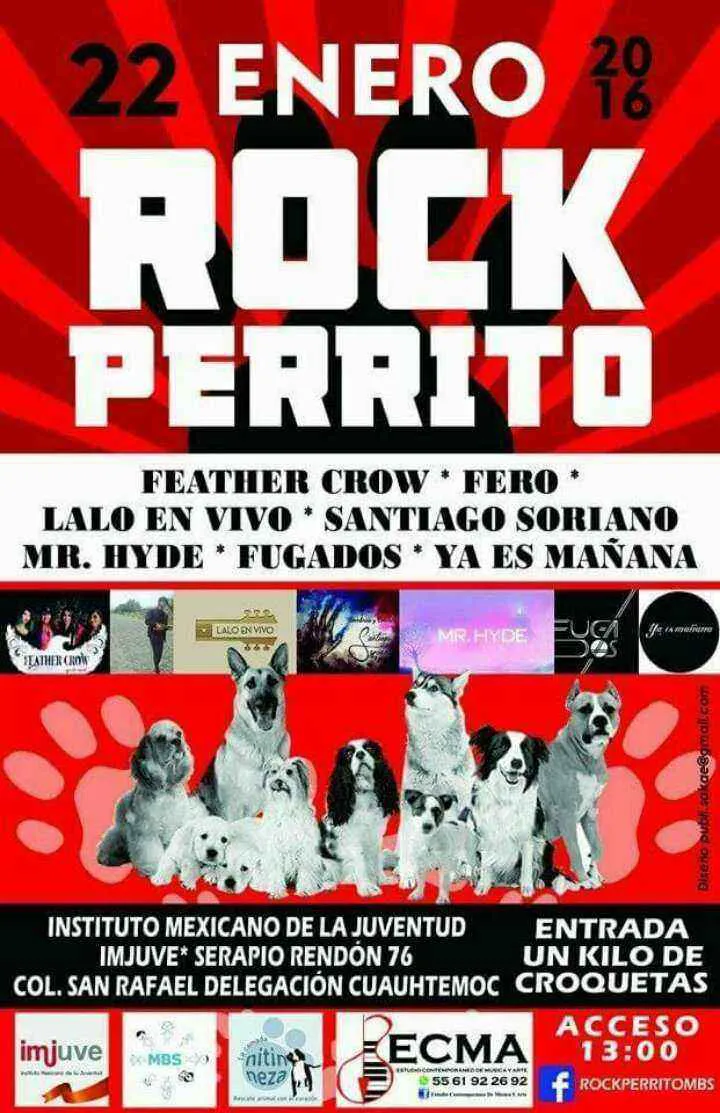 rock perritos