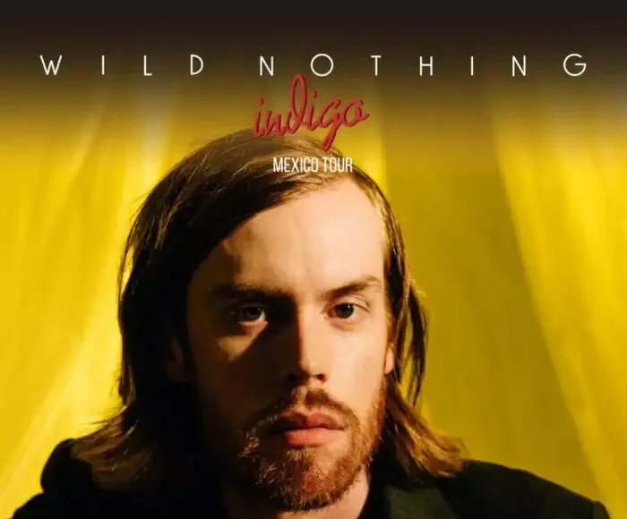 Wild Nothing