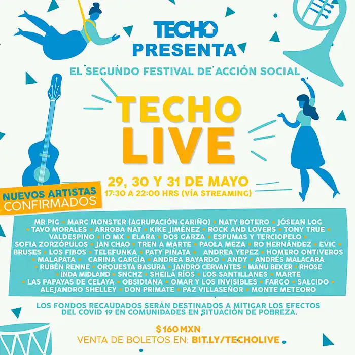 Flyer Techo Live