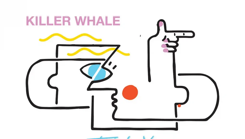 killer whale disco