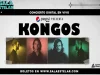 Echa a volar tu imaginación en el mundo de Kongos kongos flyer
