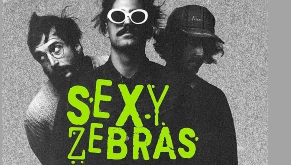 Sexy Zebras