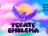 Tecate Emblema 2024: la edición más internacional del festival
