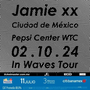 Jamie xx