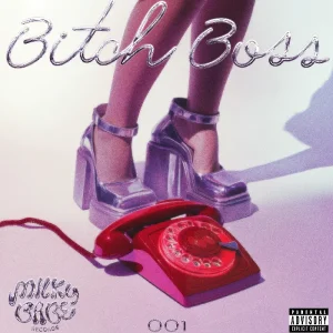 Bitch Boss - DJ Milka