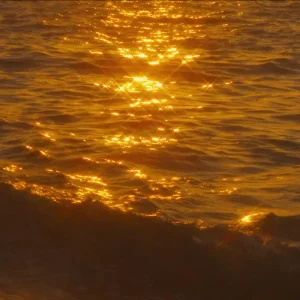 Macario Martínez David Velasco y Macario Martínez