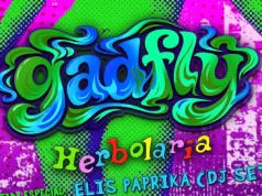 Gadfly Fuck Off Room concierto: caos sonoro en CDMX Radio por Internet