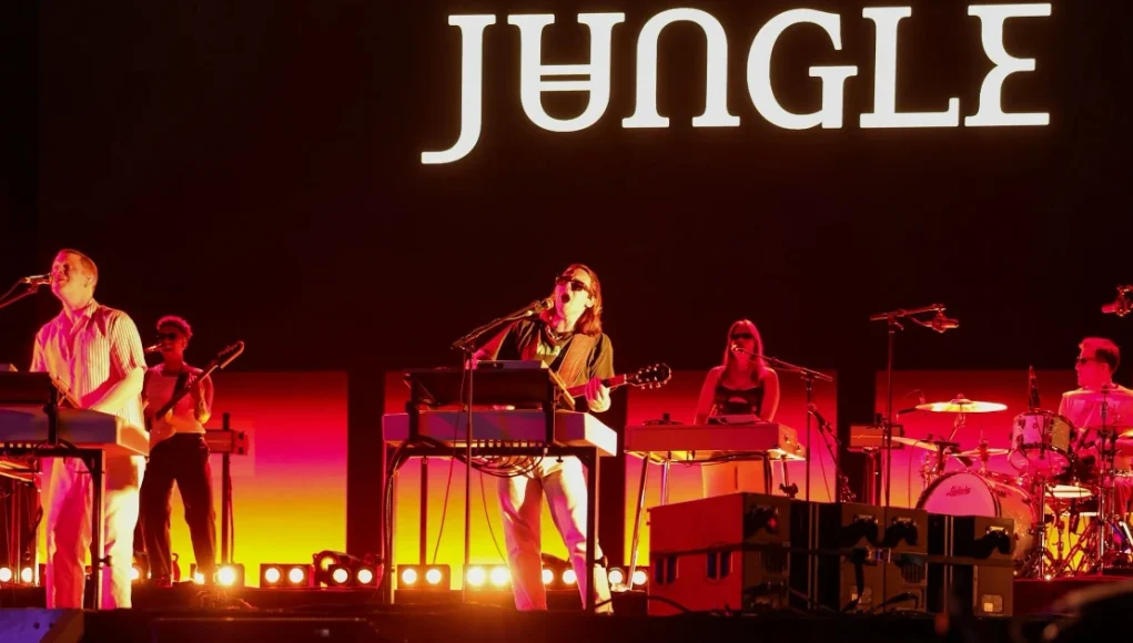 jungle jungle